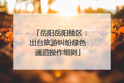 岳阳岳阳楼区：出台旅游纠纷绿色通道操作细则