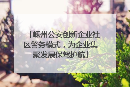 嵊州公安创新企业社区警务模式，为企业集聚发展保驾护航
