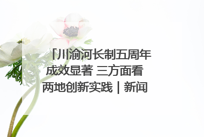 川渝河长制五周年成效显著 三方面看两地创新实践｜新闻发布最前线