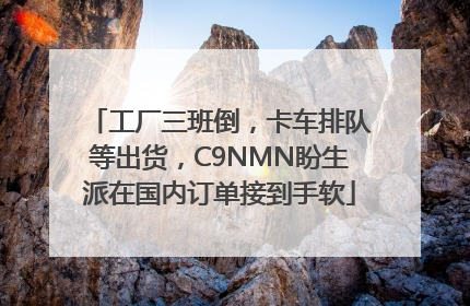 工厂三班倒，卡车排队等出货，C9NMN盼生派在国内订单接到手软