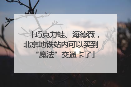 巧克力蛙、海德薇，北京地铁站内可以买到“魔法”交通卡了