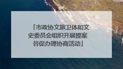 市政协文旅卫体和文史委员会组织开展提案督促办理协商活动