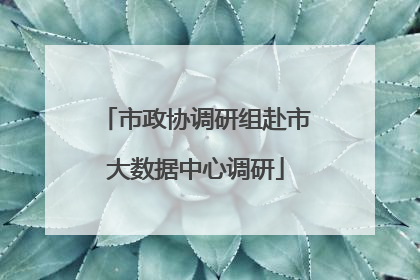 市政协调研组赴市大数据中心调研