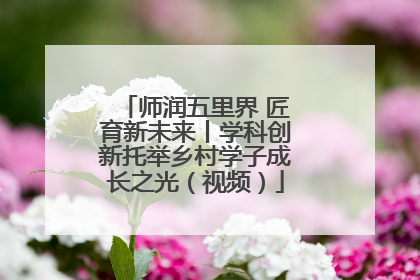师润五里界 匠育新未来丨学科创新托举乡村学子成长之光（视频）