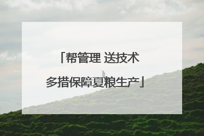 帮管理 送技术 多措保障夏粮生产