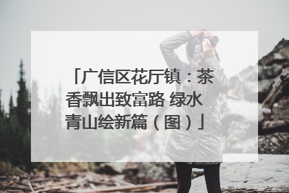 广信区花厅镇：茶香飘出致富路 绿水青山绘新篇（图）