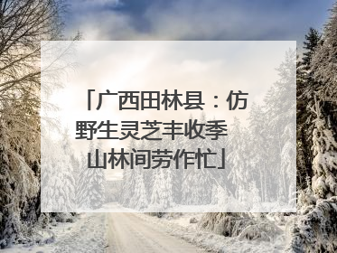 广西田林县：仿野生灵芝丰收季 山林间劳作忙