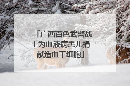 广西百色武警战士为血液病患儿捐献造血干细胞
