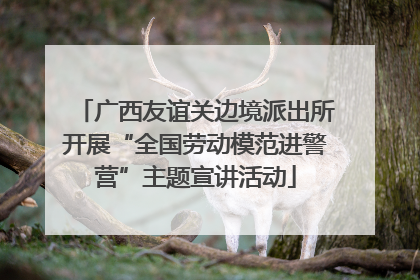 广西友谊关边境派出所开展“全国劳动模范进警营”主题宣讲活动