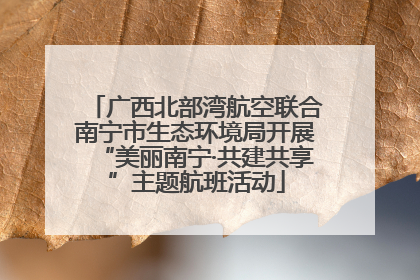 广西北部湾航空联合南宁市生态环境局开展“美丽南宁·共建共享”主题航班活动