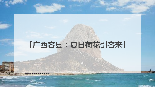 广西容县：夏日荷花引客来
