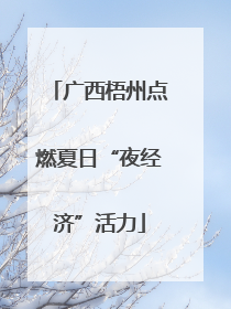 广西梧州点燃夏日“夜经济”活力