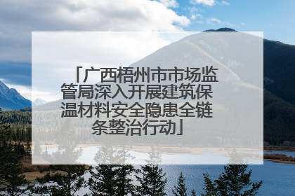 广西梧州市市场监管局深入开展建筑保温材料安全隐患全链条整治行动