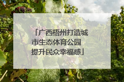 广西梧州打造城市生态体育公园 提升民众幸福感