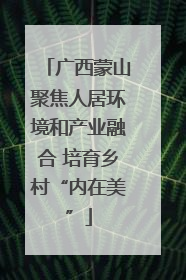 广西蒙山聚焦人居环境和产业融合 培育乡村“内在美”