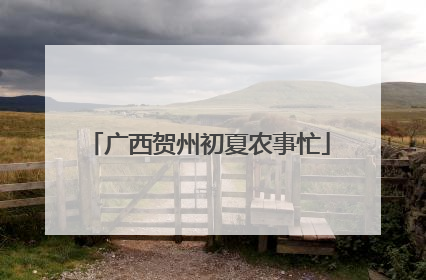 广西贺州初夏农事忙