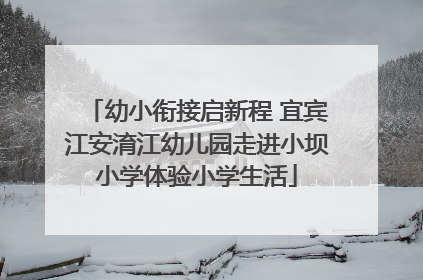 幼小衔接启新程 宜宾江安淯江幼儿园走进小坝小学体验小学生活