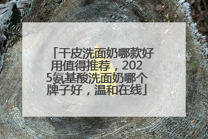 干皮洗面奶哪款好用值得推荐，2025氨基酸洗面奶哪个牌子好，温和在线