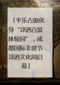平乐古镇化身“邛酒百景体验园”，成都国际非遗节邛酒文化周启幕