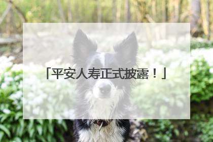 平安人寿正式披露！