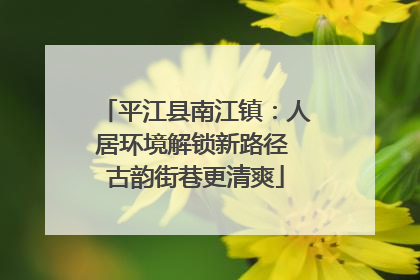 平江县南江镇：人居环境解锁新路径 古韵街巷更清爽
