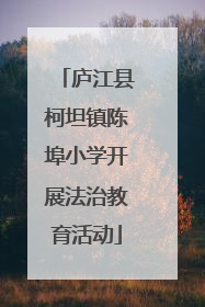 庐江县柯坦镇陈埠小学开展法治教育活动