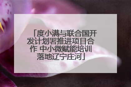 度小满与联合国开发计划署推进项目合作 中小微赋能培训落地辽宁庄河