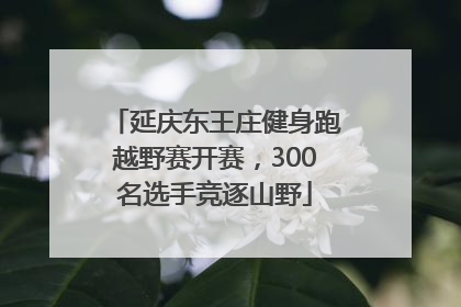 延庆东王庄健身跑越野赛开赛，300名选手竞逐山野