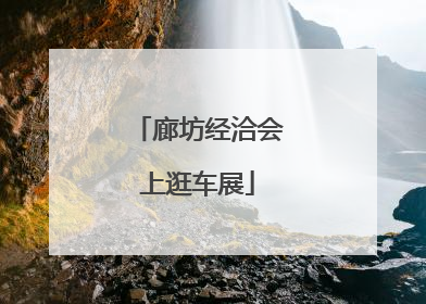 廊坊经洽会上逛车展