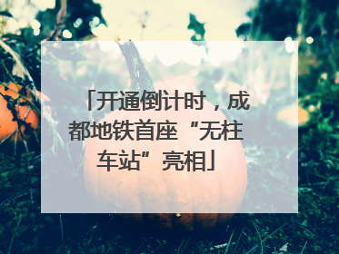 开通倒计时，成都地铁首座“无柱车站”亮相