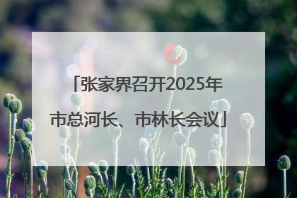 张家界召开2025年市总河长、市林长会议