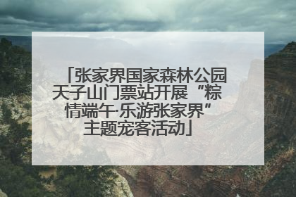 张家界国家森林公园天子山门票站开展“粽情端午·乐游张家界”主题宠客活动