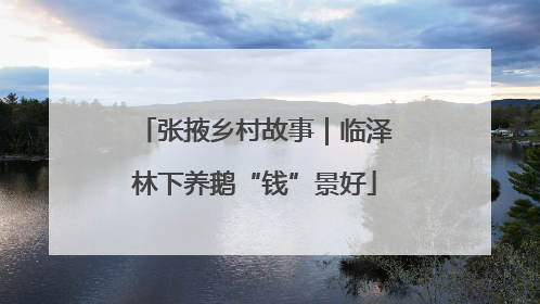 张掖乡村故事｜临泽林下养鹅“钱”景好