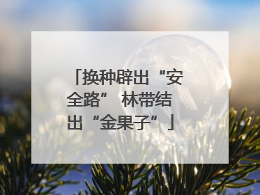 换种辟出“安全路” 林带结出“金果子”