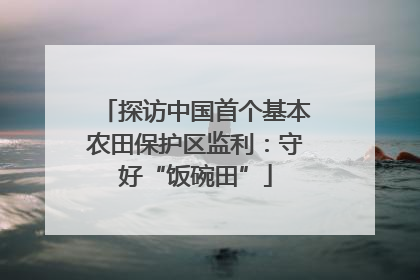 探访中国首个基本农田保护区监利：守好“饭碗田”