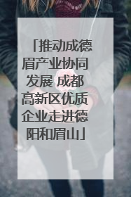 推动成德眉产业协同发展 成都高新区优质企业走进德阳和眉山