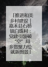 推进和美乡村建设｜嘉禾县石桥镇白珠村：党建引领破“空”局 乡贤聚力绘就新图景