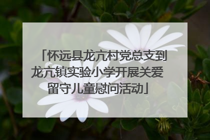 怀远县龙亢村党总支到龙亢镇实验小学开展关爱留守儿童慰问活动
