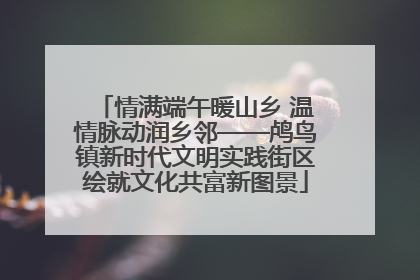 情满端午暖山乡 温情脉动润乡邻——鸬鸟镇新时代文明实践街区绘就文化共富新图景
