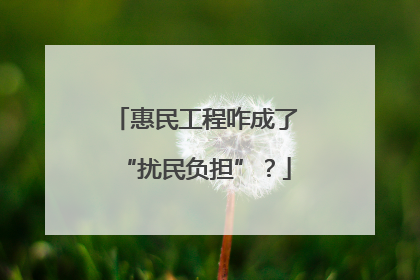 惠民工程咋成了“扰民负担”？