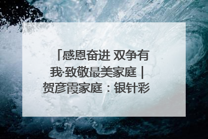 感恩奋进 双争有我·致敬最美家庭｜贺彦霞家庭：银针彩线绣出好日子
