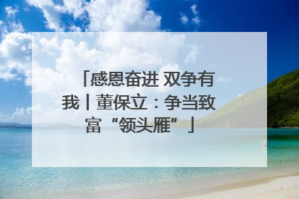 感恩奋进 双争有我丨董保立：争当致富“领头雁”