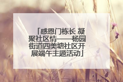 感恩门栋长 凝聚社区情——杨园街道四美塘社区开展端午主题活动