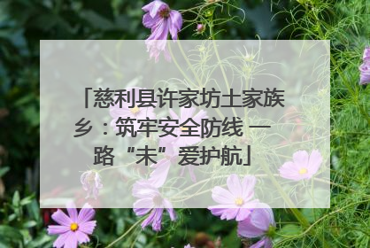 慈利县许家坊土家族乡：筑牢安全防线 一路“未”爱护航