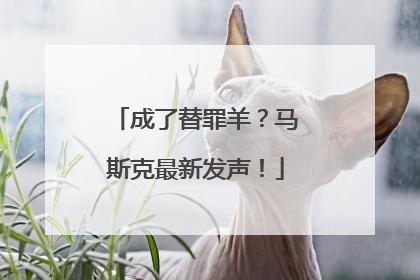 成了替罪羊？马斯克最新发声！