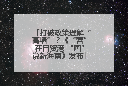 打破政策理解“高墙”？《“营”在自贸港 “画”说新海南》发布