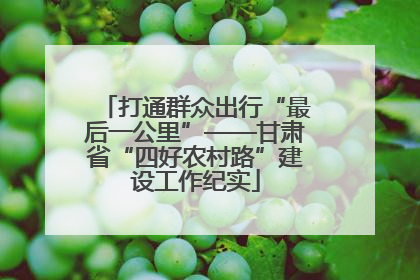 打通群众出行“最后一公里”——甘肃省“四好农村路”建设工作纪实