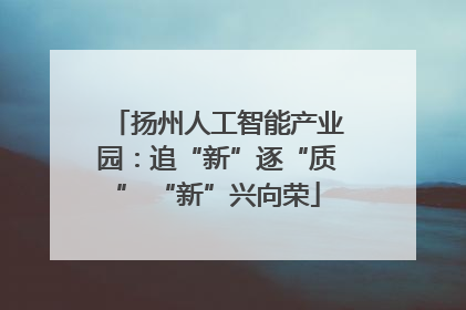 扬州人工智能产业园：追“新”逐“质” “新”兴向荣