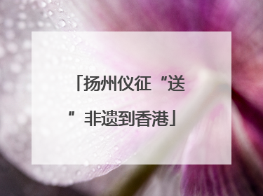 扬州仪征“送”非遗到香港