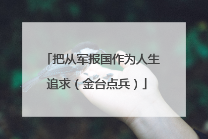 把从军报国作为人生追求（金台点兵）